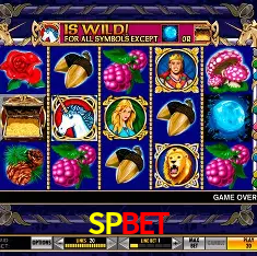 SPBET São Paulo - All Bonuses